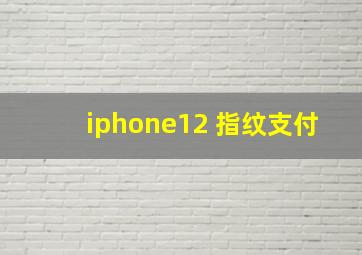 iphone12 指纹支付